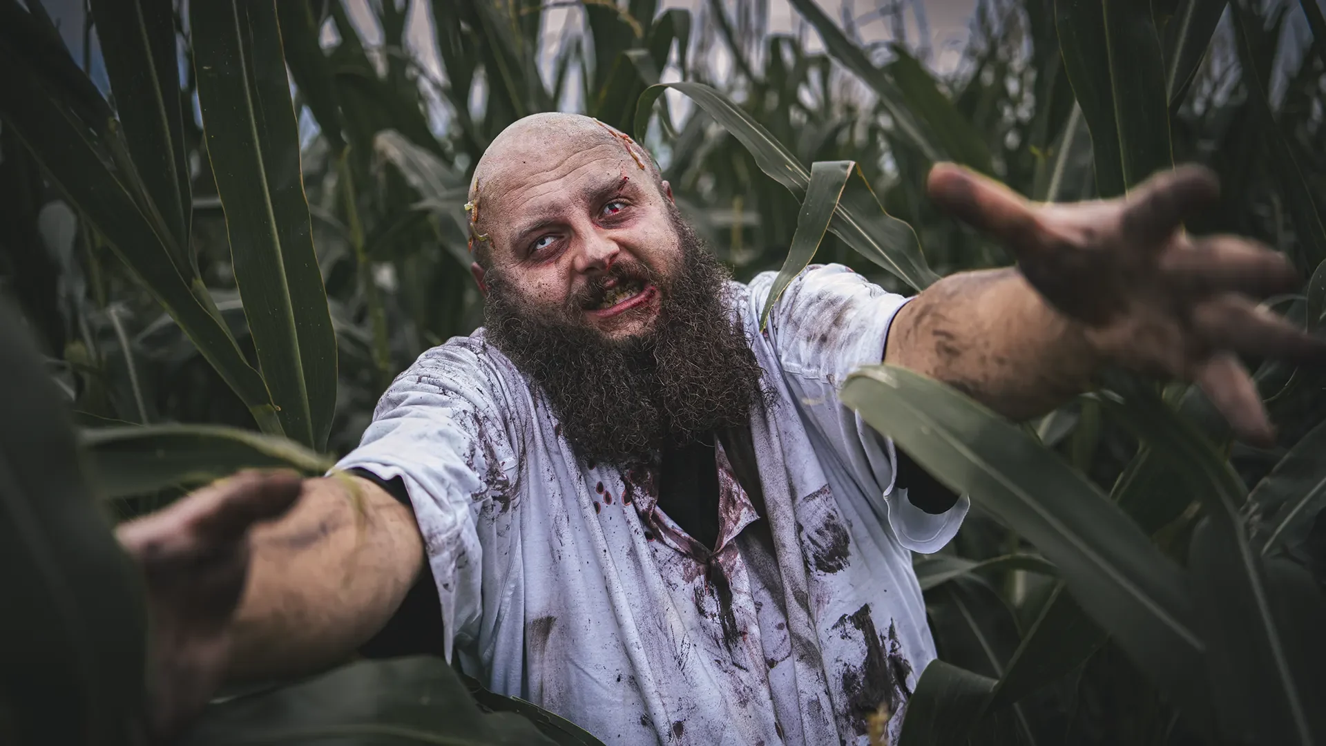 zombie-info